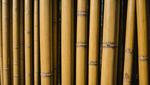 découvrez comment le bambou s’intègre dans l’architecture bioclimatique pour des constructions durables, écologiques et innovantes. alliez performance énergétique et respect de l’environnement grâce au bambou !
